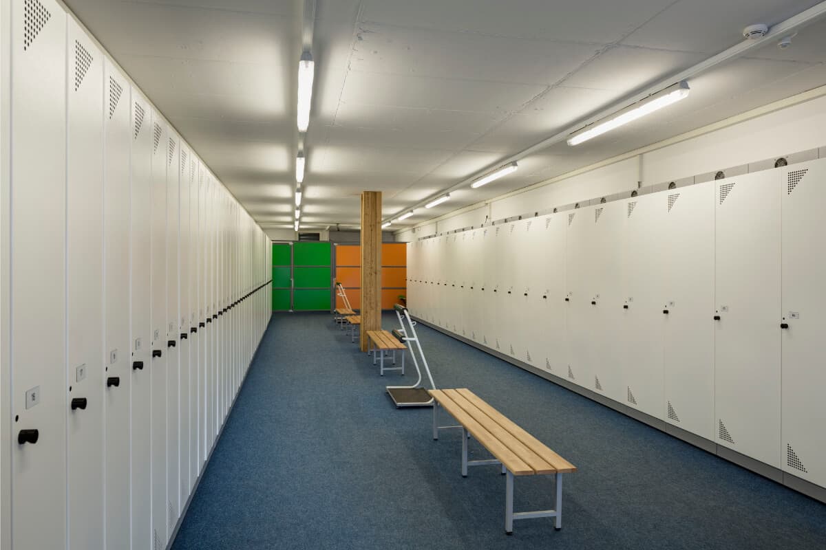 L'anno orribile del noleggio. Abbiamo salvato il salvabile…e forse nemmeno quello